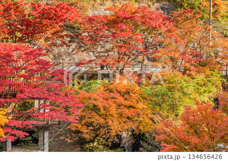 豊田市の大井平公園の風景(愛知県) 134656426
