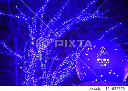 青の洞窟の青一色の世界 134657276