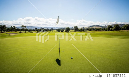 ゴルフのグリーン 134657321