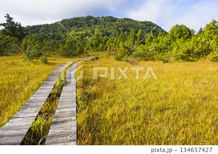 燧ヶ岳御池コースの広沢田代 燧ヶ岳御池コースの広沢田代 134657427