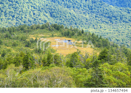 燧ヶ岳御池コースの広沢田代俯瞰 134657494