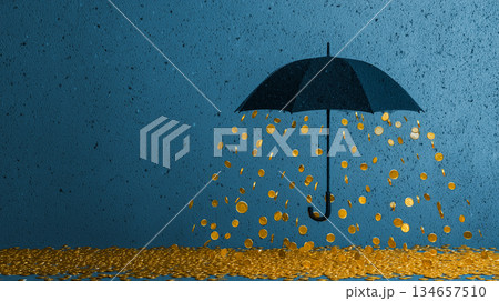 金貨の雨を防ぐ黒い傘、財産保護のコンセプトイメージ 134657510