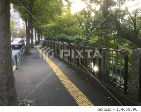東京お茶の水周辺の風景 東京お茶の水周辺の風景 134658396