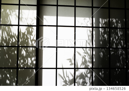 シルエット 134658526