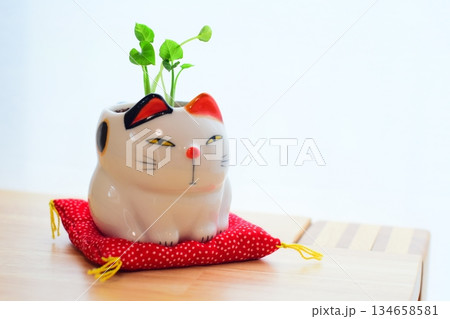 猫の小物 猫の小物 134658581