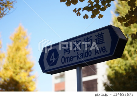 イチョウと看板 134658675