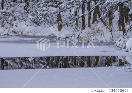 雪に覆われた森 雪に覆われた森 134658692