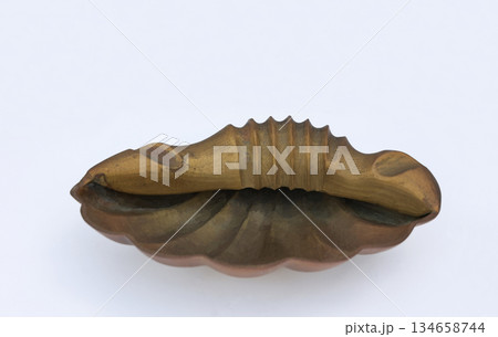 中近東の真鍮製工芸品 中近東の真鍮製工芸品 134658744