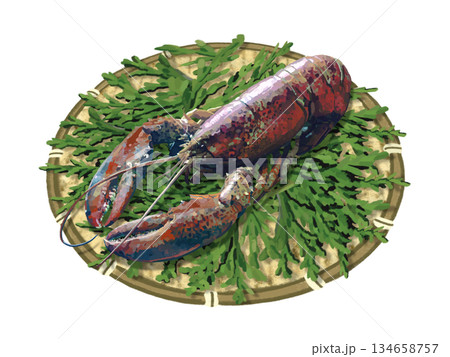ロブスター（活魚）ヒノキの葉付き 134658757