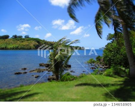 グアム　ジオラマ風 134658905