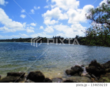 グアム 海 ジオラマ風 グアム 海 ジオラマ風 134659219