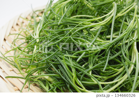 おかひじき 134660326