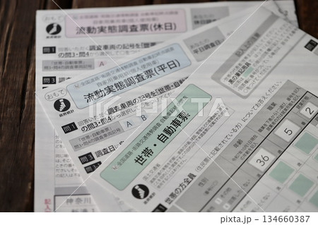 世帯用自動車の流動実態調査票 手書き用申請用紙 世帯用自動車の流動実態調査票 手書き用申請用紙 134660387