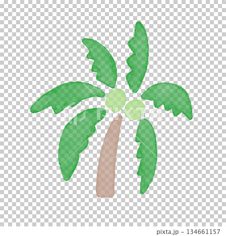 手繪水彩插畫，描繪了夏日風情。旅行和海灘度假的概念。畫面中有一棵椰子樹，結著兩顆果實。 134661157