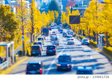 ミニチュア風・黄色に色づいたイチョウ並木のファイヤー通り【秋イメージ】 134661726