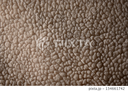 起毛　背景素材 134661742