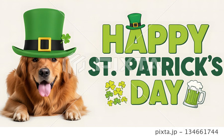 Golden retriever dog wearing a leprechaun hat for St. Patrick's Day celebration 134661744