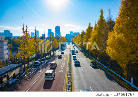 黄色に色づいたイチョウ並木の外苑東通り【秋イメージ】 134661767