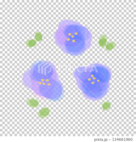 簡單的水彩藍色花朵 134661960