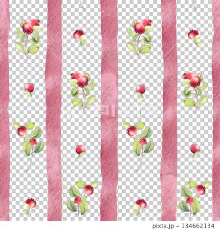 Lingonberry and cranberry on striped seamless pattern watercolor hand drawn. Natural floral ornament with red berries on white. Summer repeat texture for fabric, textile, wallpaper. Lingonberry and cranberry on striped seamless pattern watercolor hand drawn. Natural floral ornament with red berries on white. Summer repeat texture for fabric, textile, wallpaper. 134662134