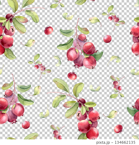 Fresh summer watercolor seamless pattern on white. Lingonberry and cranberry plants illustration hand painted. Botanical repeat with red berry and green foliage for textile, fabric, fabric print. Fresh summer watercolor seamless pattern on white. Lingonberry and cranberry plants illustration hand painted. Botanical repeat with red berry and green foliage for textile, fabric, fabric print. 134662135