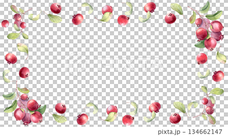 Watercolor lingonberry frame with green leaves and red berries on white background. Hand drawn botanical art for greeting card, invitation, or festive design. Wild red berries for packaging superfood. 134662147
