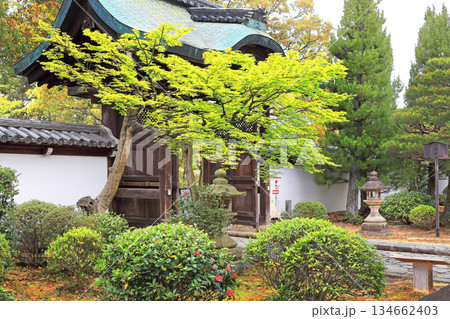真言宗智山派　総本山智積院 134662403