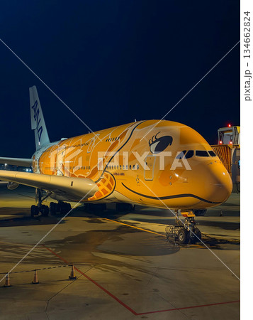 成田空港 夜のANAフライングホヌ 駐機中の飛行機 余白 縦 成田空港 夜のANAフライングホヌ 駐機中の飛行機 余白 縦 134662824
