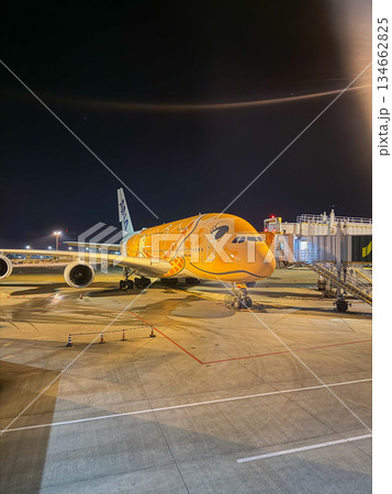 成田空港 夜のANAフライングホヌ 駐機中の飛行機 余白 縦 成田空港 夜のANAフライングホヌ 駐機中の飛行機 余白 縦 134662825