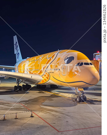 成田空港 夜のANAフライングホヌ 駐機中の飛行機 余白 縦 成田空港 夜のANAフライングホヌ 駐機中の飛行機 余白 縦 134662826