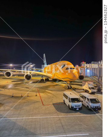 成田空港 夜のANAフライングホヌ 駐機中の飛行機 余白 縦 成田空港 夜のANAフライングホヌ 駐機中の飛行機 余白 縦 134662827
