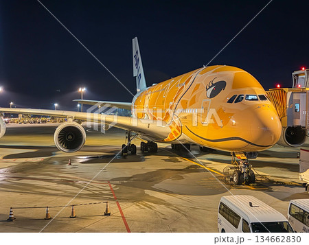 成田空港 夜のANAフライングホヌ 駐機中の飛行機 余白 横 成田空港 夜のANAフライングホヌ 駐機中の飛行機 余白 横 134662830