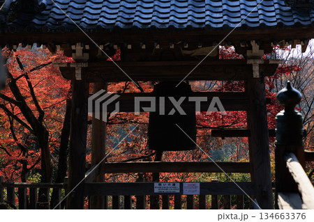 紅葉に包まれた寂光院の鐘楼と秋の境内 134663376
