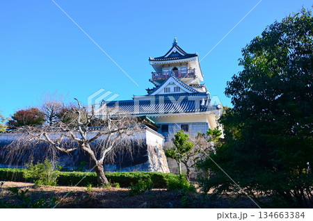 小山城 天守閣 吉田町 小山城 天守閣 吉田町 134663384