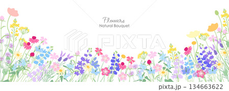 ナチュラルでカラフルな草花の背景イラスト ナチュラルでカラフルな草花の背景イラスト 134663622
