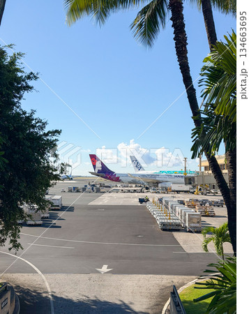 ハワイ ダニエルKイノウエ国際空港 駐機中の飛行機 空港風景 余白ハワイ ダニエルKイノウエ国際空港 ハワイ ダニエルKイノウエ国際空港 駐機中の飛行機 空港風景 余白ハワイ ダニエルKイノウエ国際空港 134663695
