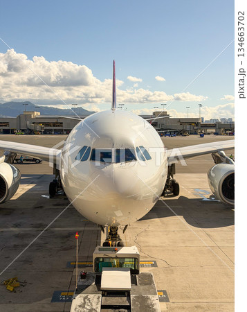 ハワイ ダニエルKイノウエ国際空港 駐機中の飛行機 空港風景 余白 ハワイ ダニエルKイノウエ国際空港 駐機中の飛行機 空港風景 余白 134663702