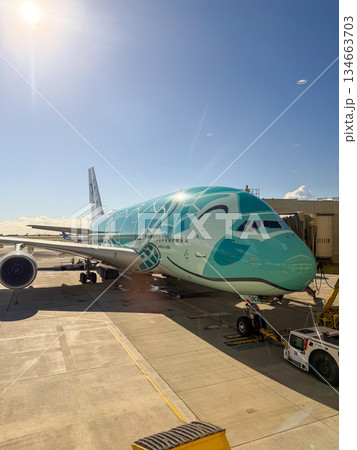 ハワイ ダニエルKイノウエ国際空港 駐機中の飛行機 空港風景 余白 ハワイ ダニエルKイノウエ国際空港 駐機中の飛行機 空港風景 余白 134663703
