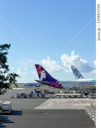 ハワイ ダニエルKイノウエ国際空港 駐機中の飛行機 空港風景 余白 ハワイ ダニエルKイノウエ国際空港 駐機中の飛行機 空港風景 余白 134663709