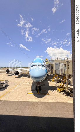 ハワイ ダニエルKイノウエ国際空港 駐機中の飛行機 空港風景 余白 ハワイ ダニエルKイノウエ国際空港 駐機中の飛行機 空港風景 余白 134663774