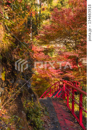五宝滝へ続く紅葉の山道と赤い橋（岐阜県八百津） 134663918