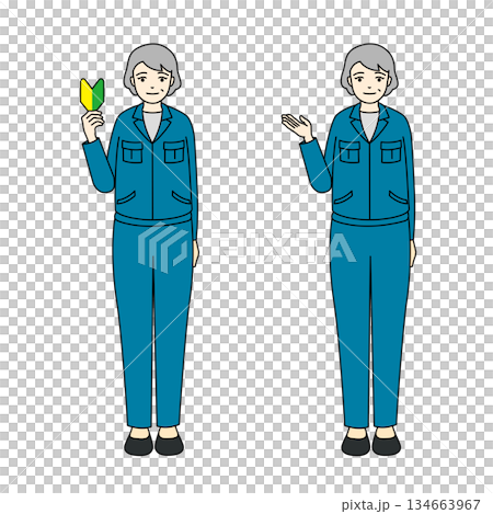 青い作業着姿で初心者マークを持つシニア女性と案内ポーズをするシニア女性の全身イラスト 134663967