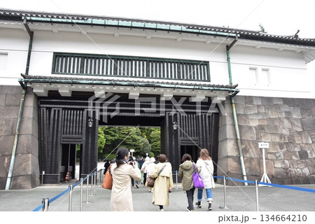 東京都千代田区 坂下門(春季皇居乾通り一般公開)と観光客 東京都千代田区 坂下門(春季皇居乾通り一般公開)と観光客 134664210