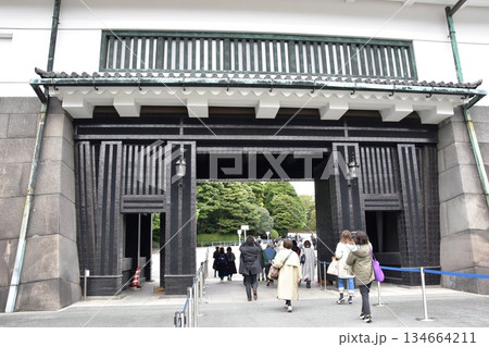 東京都千代田区　坂下門（春季皇居乾通り一般公開）と観光客 134664211