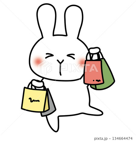 たくさんの買い物をしている白いうさぎ 134664474