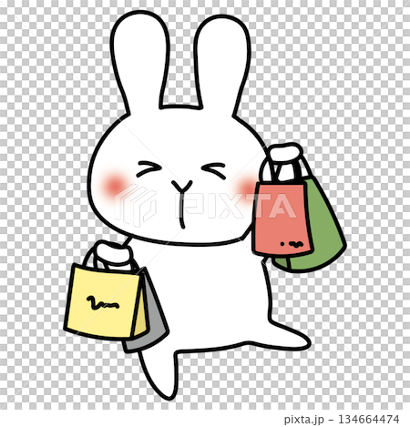 たくさんの買い物をしている白いうさぎ 134664474