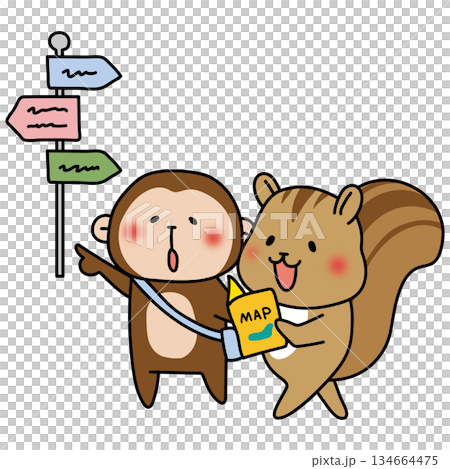 A monkey and a squirrel sightseeing while looking at a map A monkey and a squirrel sightseeing while looking at a map 134664475