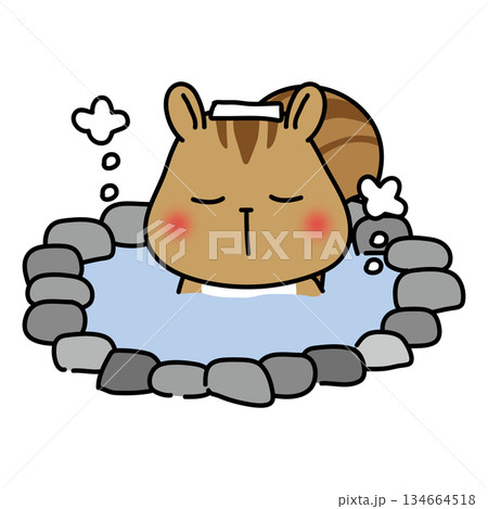 温泉に入るリス 134664518