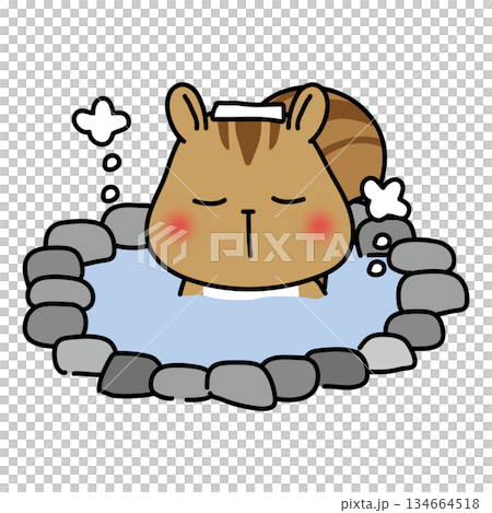 温泉に入るリス 134664518