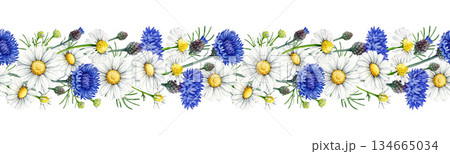 Chamomile flowers with blue cornflowers seamless border decor element vintage style watercolor illustration. Hand drawn wildflower meadow flowers floral rustic decoration isolated on white background 134665034